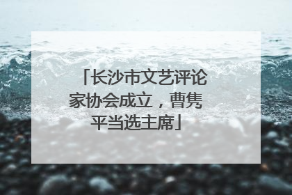 长沙市文艺评论家协会成立，曹隽平当选主席