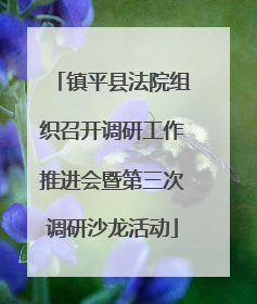 镇平县法院组织召开调研工作推进会暨第三次调研沙龙活动