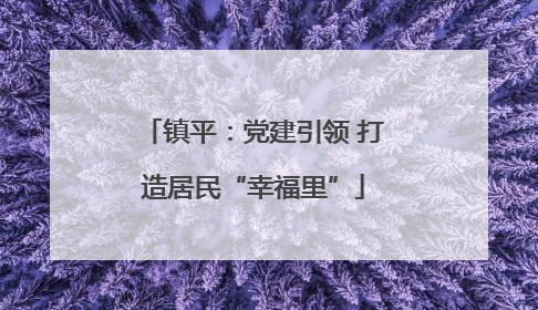 镇平：党建引领 打造居民“幸福里”