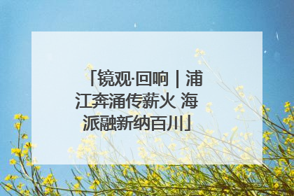 镜观·回响｜浦江奔涌传薪火 海派融新纳百川