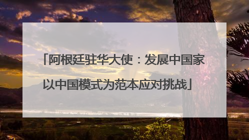 阿根廷驻华大使：发展中国家以中国模式为范本应对挑战