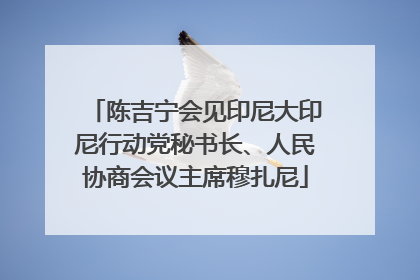 陈吉宁会见印尼大印尼行动党秘书长、人民协商会议主席穆扎尼