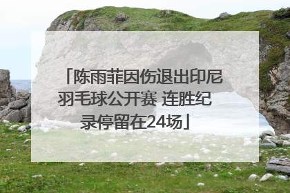 陈雨菲因伤退出印尼羽毛球公开赛 连胜纪录停留在24场