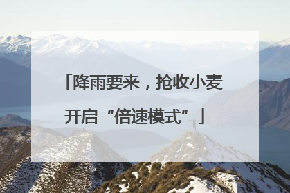 降雨要来，抢收小麦开启“倍速模式”