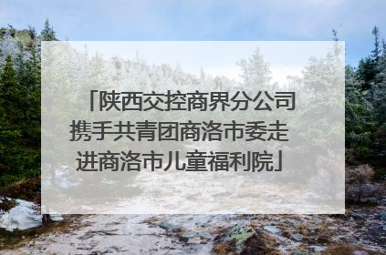陕西交控商界分公司携手共青团商洛市委走进商洛市儿童福利院