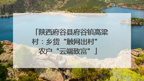 陕西府谷县府谷镇高梁村：乡货“触网出村” 农户“云端致富”