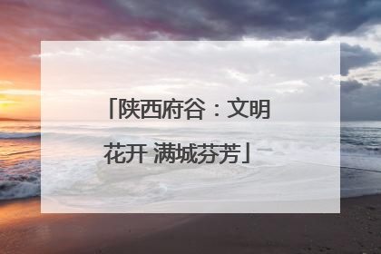 陕西府谷：文明花开 满城芬芳