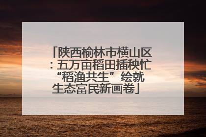 陕西榆林市横山区：五万亩稻田插秧忙 “稻渔共生”绘就生态富民新画卷