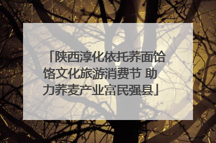 陕西淳化依托荞面饸饹文化旅游消费节 助力荞麦产业富民强县