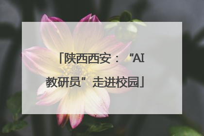 陕西西安：“AI教研员”走进校园