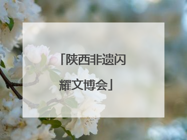 陕西非遗闪耀文博会