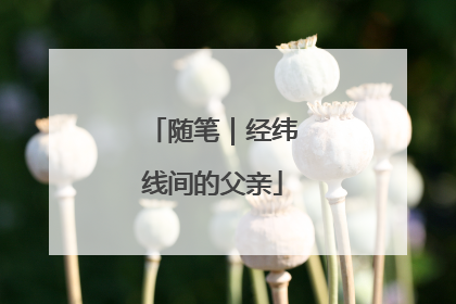随笔｜经纬线间的父亲