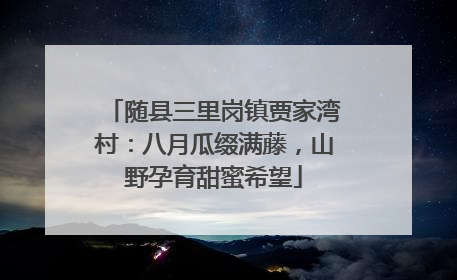 随县三里岗镇贾家湾村：八月瓜缀满藤，山野孕育甜蜜希望
