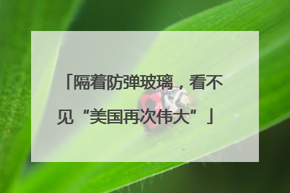 隔着防弹玻璃，看不见“美国再次伟大”