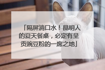 隔屏淌口水！昆明人的夏天餐桌，必定有呈贡豌豆粉的一席之地
