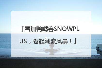 雪加鸭嘴兽SNOWPLUS，卷起潮流风暴！