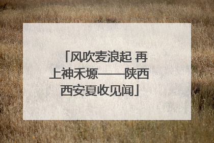 风吹麦浪起 再上神禾塬——陕西西安夏收见闻