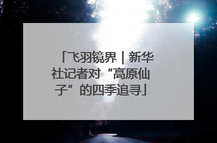 飞羽镜界｜新华社记者对“高原仙子”的四季追寻