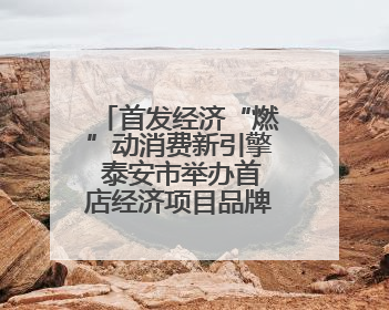 首发经济“燃”动消费新引擎 泰安市举办首店经济项目品牌入驻推进会