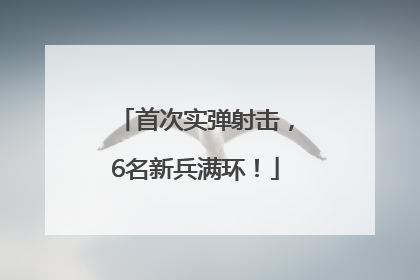 首次实弹射击，6名新兵满环！