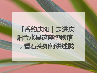 香约庆阳｜走进庆阳合水县这座博物馆，看石头如何讲述陇东千年历史