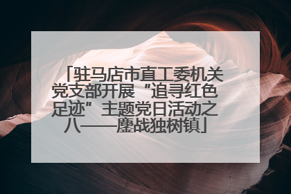 驻马店市直工委机关党支部开展“追寻红色足迹”主题党日活动之八——鏖战独树镇