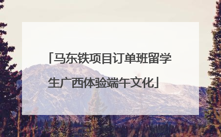 马东铁项目订单班留学生广西体验端午文化
