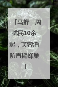 马蜂一周扰民10余起，芙蓉消防直捣蜂巢