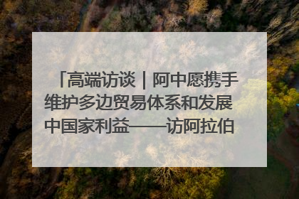 高端访谈｜阿中愿携手维护多边贸易体系和发展中国家利益——访阿拉伯议会议长亚马希