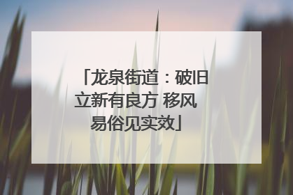龙泉街道：破旧立新有良方 移风易俗见实效