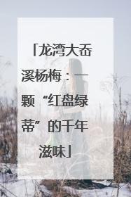 龙湾大岙溪杨梅：一颗“红盘绿蒂”的千年滋味