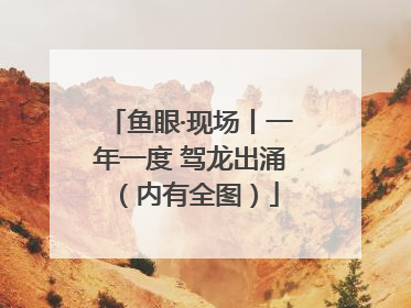 鱼眼·现场丨一年一度 驾龙出涌（内有全图）