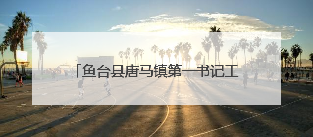 鱼台县唐马镇第一书记工作队助力“三夏生产”