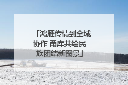鸿雁传情到全域协作 甬库共绘民族团结新图景