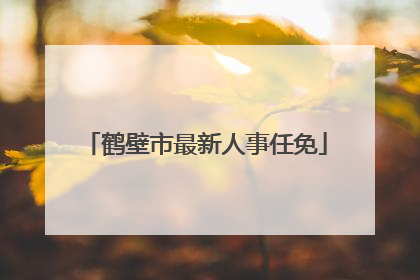 鹤壁市最新人事任免
