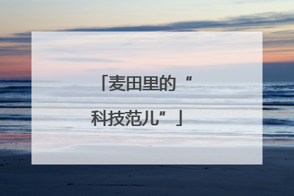 麦田里的“科技范儿”