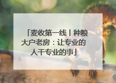 麦收第一线丨种粮大户老房：让专业的人干专业的事