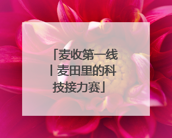 麦收第一线丨麦田里的科技接力赛