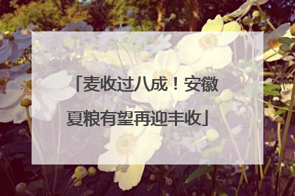 麦收过八成！安徽夏粮有望再迎丰收