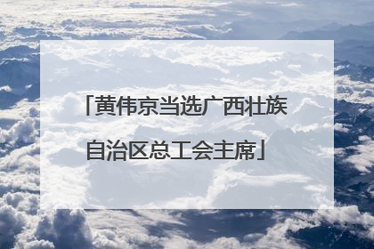 黄伟京当选广西壮族自治区总工会主席