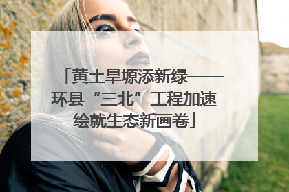 黄土旱塬添新绿——环县“三北”工程加速绘就生态新画卷