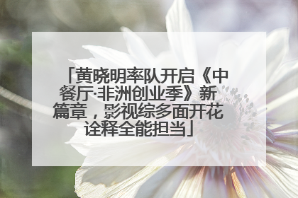 黄晓明率队开启《中餐厅·非洲创业季》新篇章，影视综多面开花诠释全能担当