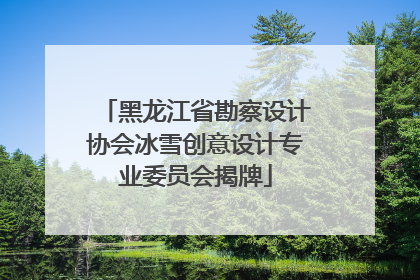 黑龙江省勘察设计协会冰雪创意设计专业委员会揭牌