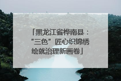 黑龙江省桦南县：“三色”匠心织锦绣 绘就治理新画卷