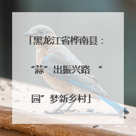 黑龙江省桦南县：“蒜”出振兴路 “园”梦新乡村
