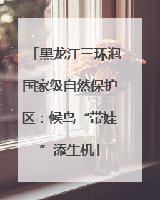 黑龙江三环泡国家级自然保护区：候鸟“带娃”添生机