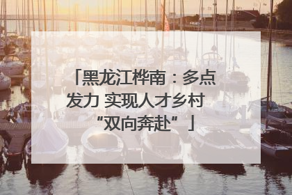 黑龙江桦南：多点发力 实现人才乡村“双向奔赴”