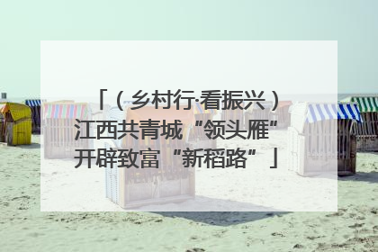 （乡村行·看振兴）江西共青城“领头雁”开辟致富“新稻路”