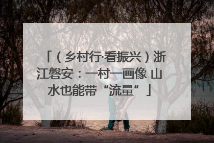 （乡村行·看振兴）浙江磐安：一村一画像 山水也能带“流量”