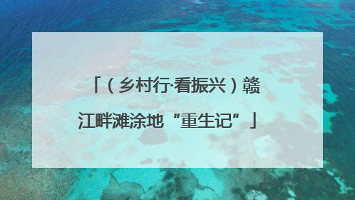 （乡村行·看振兴）赣江畔滩涂地“重生记”